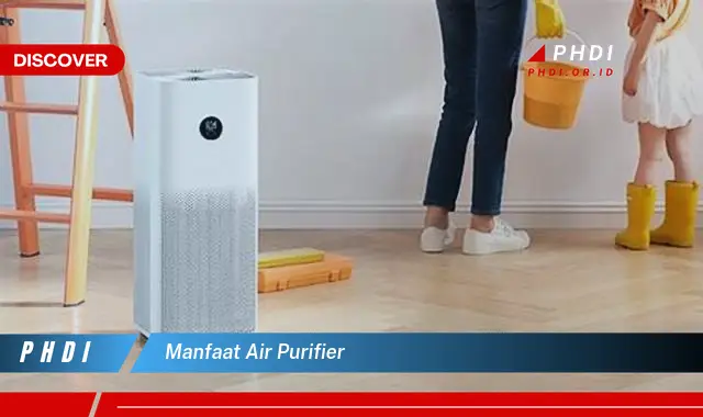 manfaat air purifier