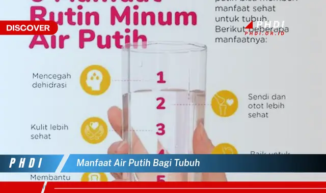 manfaat air putih bagi tubuh