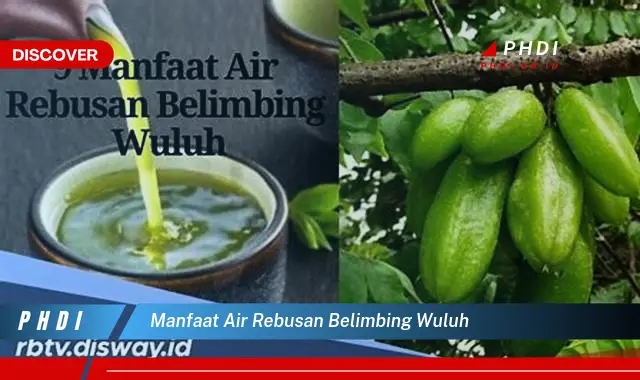 manfaat air rebusan belimbing wuluh