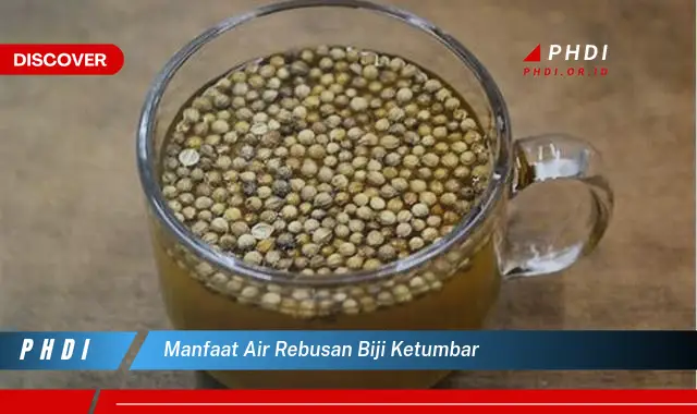 manfaat air rebusan biji ketumbar