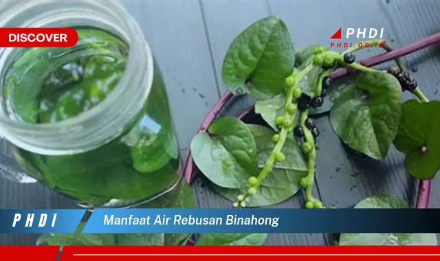 manfaat air rebusan binahong