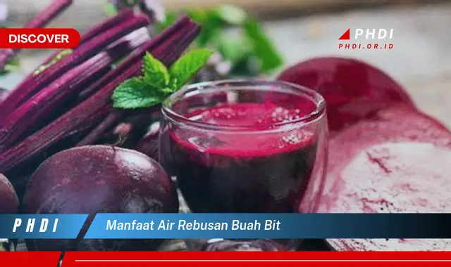 manfaat air rebusan buah bit