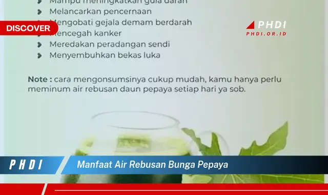 manfaat air rebusan bunga pepaya