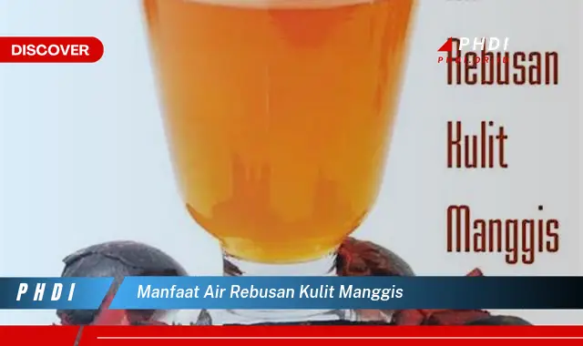 manfaat air rebusan kulit manggis