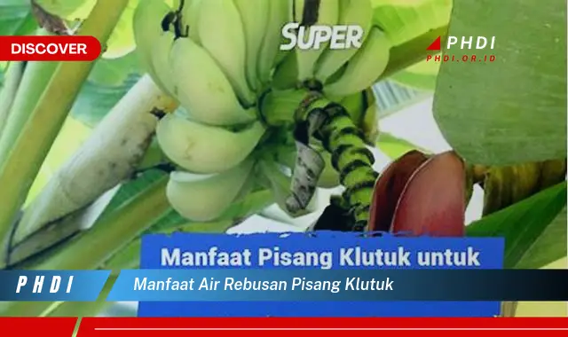 manfaat air rebusan pisang klutuk