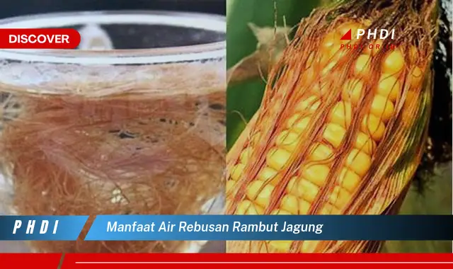 manfaat air rebusan rambut jagung