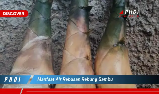 manfaat air rebusan rebung bambu