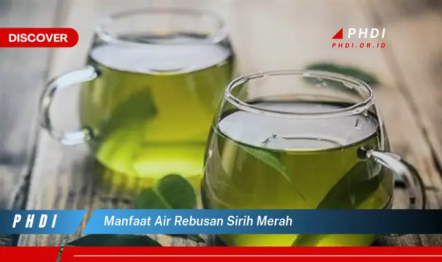 manfaat air rebusan sirih merah