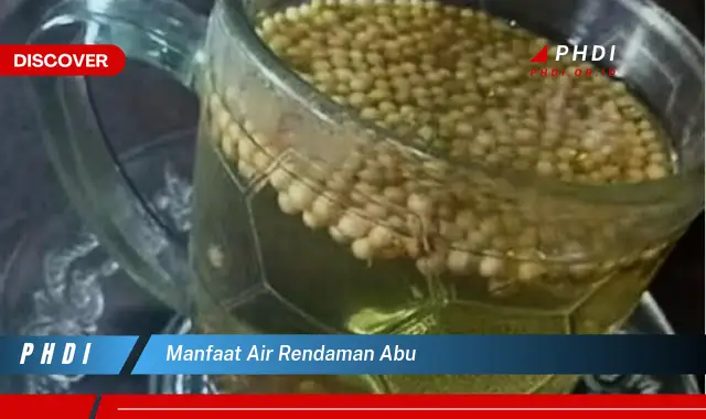 manfaat air rendaman abu