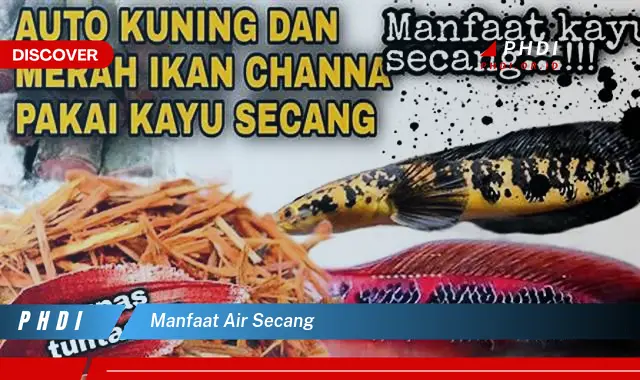 manfaat air secang