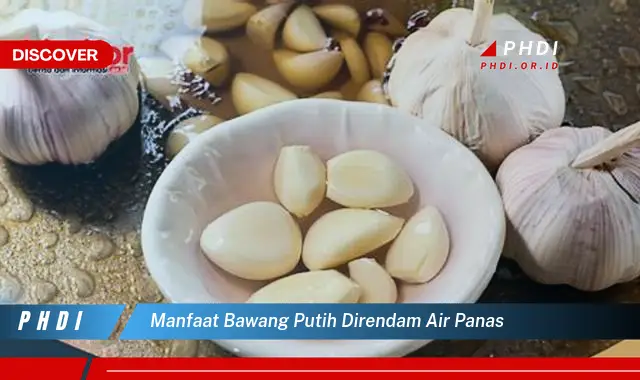 manfaat bawang putih direndam air panas