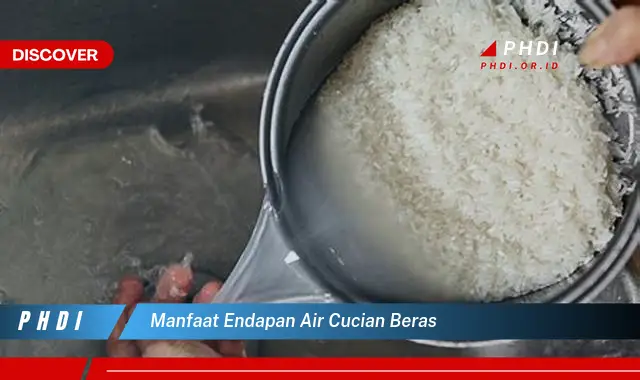 manfaat endapan air cucian beras