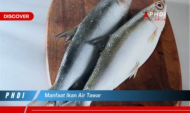 manfaat ikan air tawar