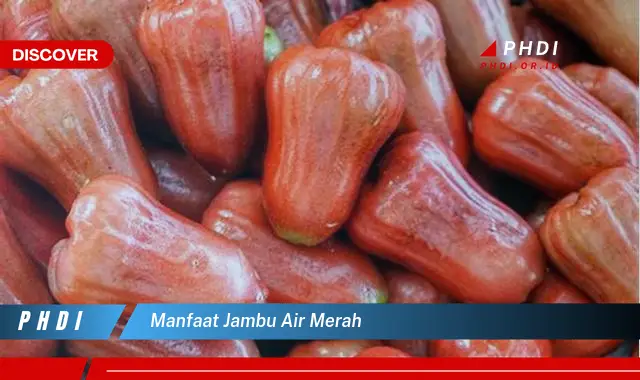 manfaat jambu air merah