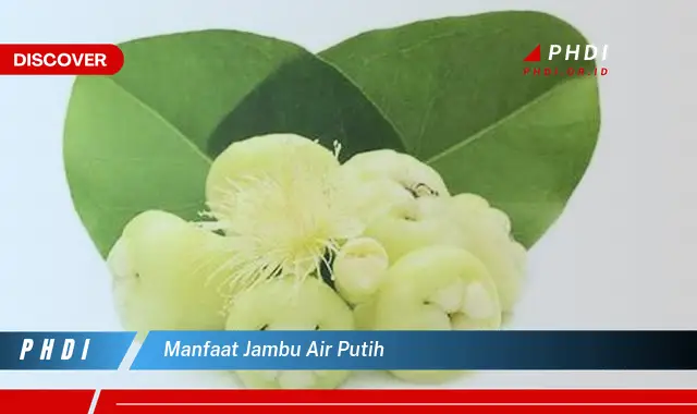 manfaat jambu air putih