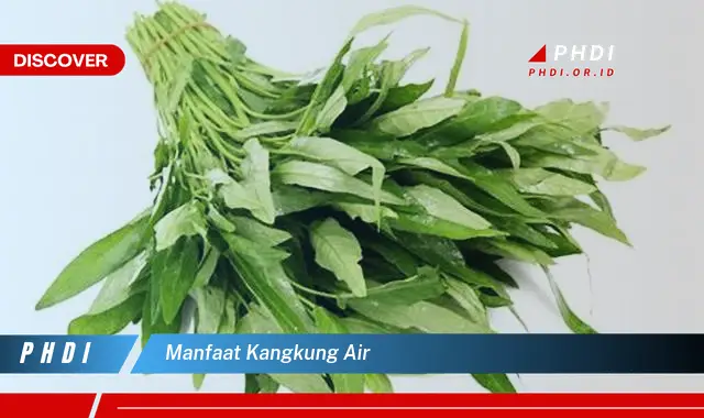 manfaat kangkung air