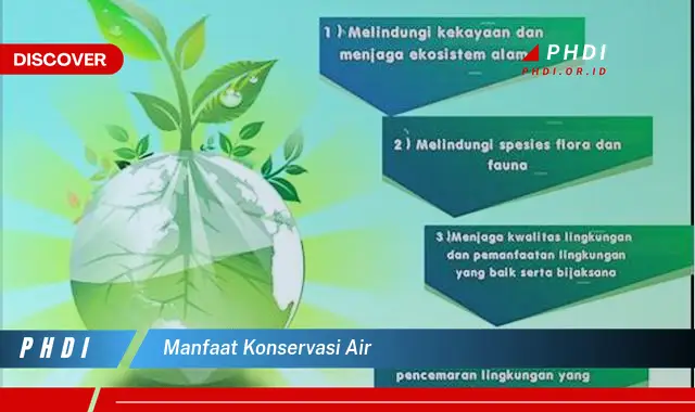 Temukan Manfaat Konservasi Air yang Jarang Diketahui