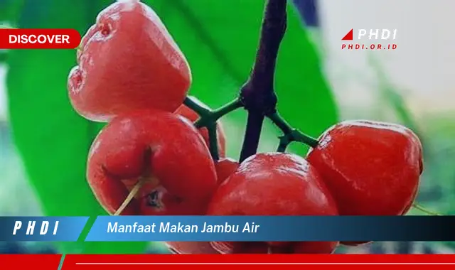 manfaat makan jambu air