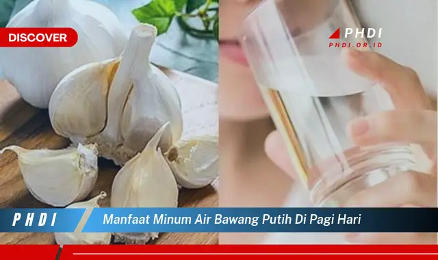 manfaat minum air bawang putih di pagi hari