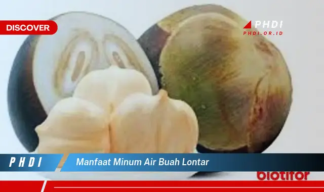 manfaat minum air buah lontar