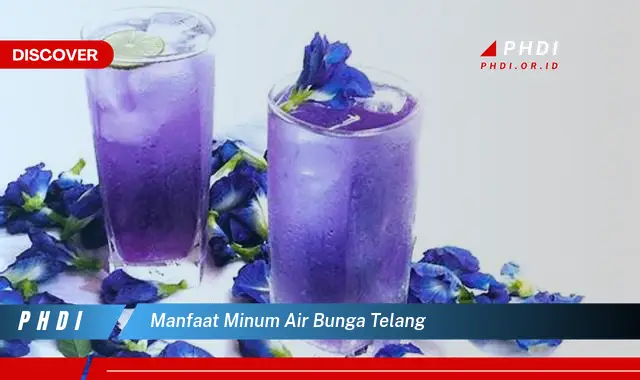 manfaat minum air bunga telang