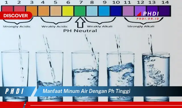 manfaat minum air dengan ph tinggi