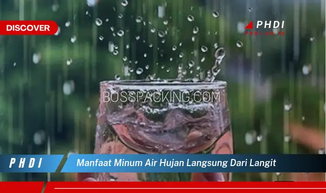 manfaat minum air hujan langsung dari langit