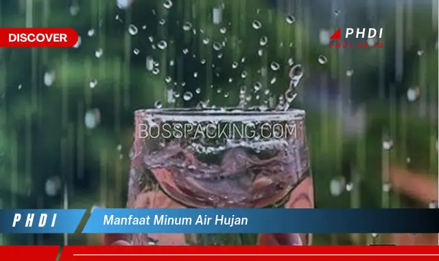 manfaat minum air hujan