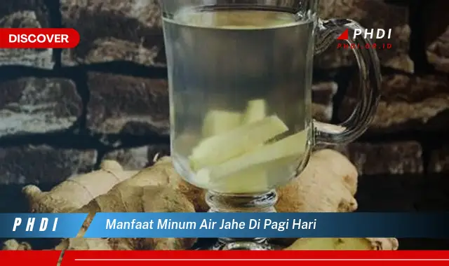 manfaat minum air jahe di pagi hari