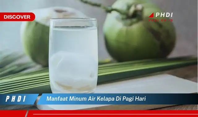 manfaat minum air kelapa di pagi hari