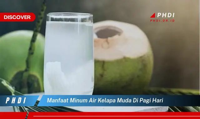 manfaat minum air kelapa muda di pagi hari