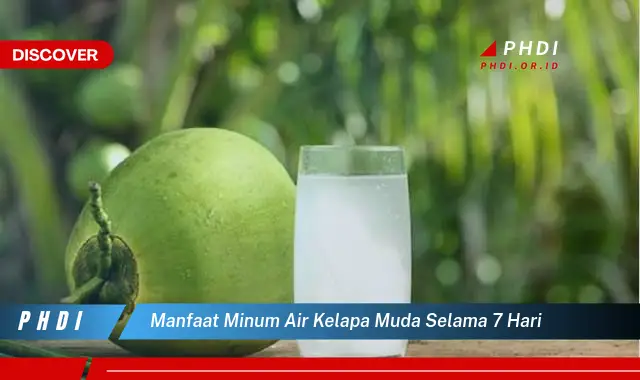 manfaat minum air kelapa muda selama 7 hari