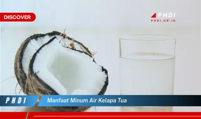 manfaat minum air kelapa tua