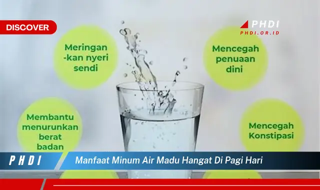 manfaat minum air madu hangat di pagi hari