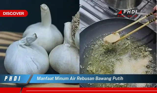 manfaat minum air rebusan bawang putih