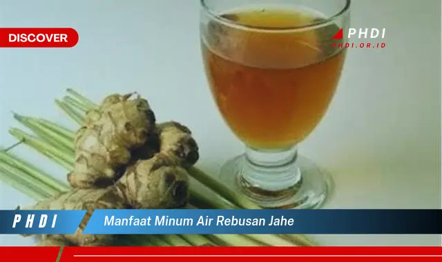 manfaat minum air rebusan jahe