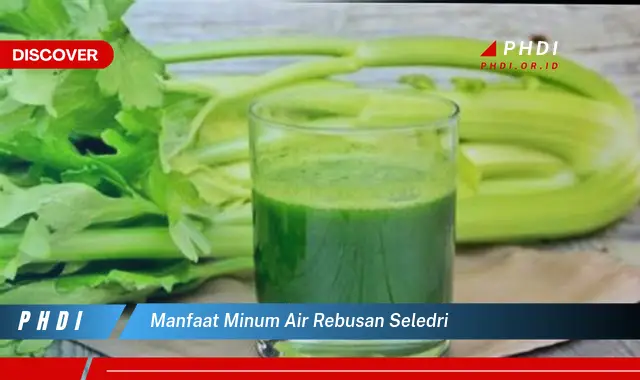 manfaat minum air rebusan seledri