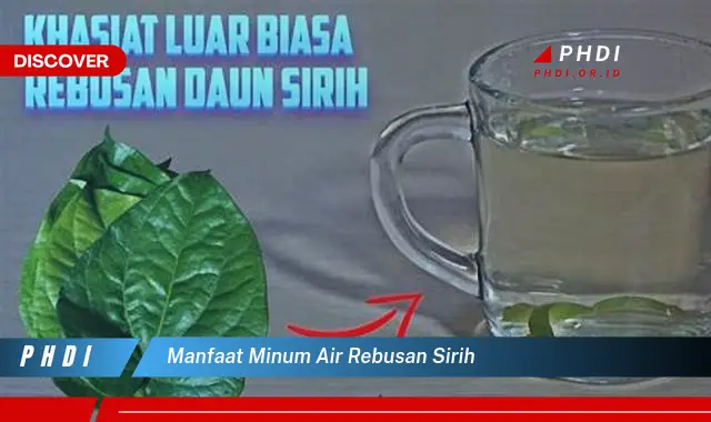 manfaat minum air rebusan sirih