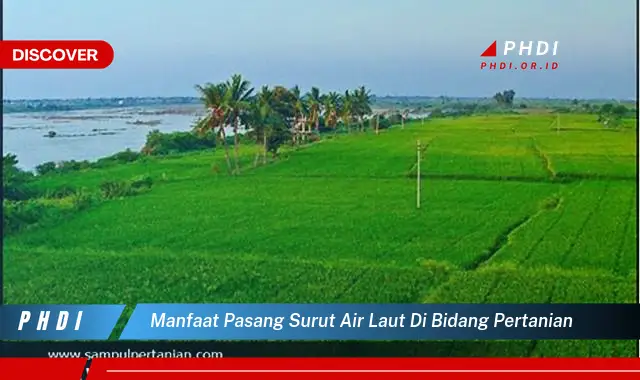 manfaat pasang surut air laut di bidang pertanian