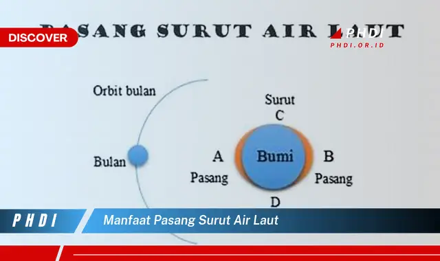 manfaat pasang surut air laut