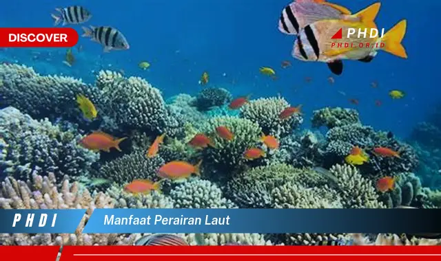 manfaat perairan laut