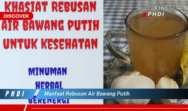 manfaat rebusan air bawang putih