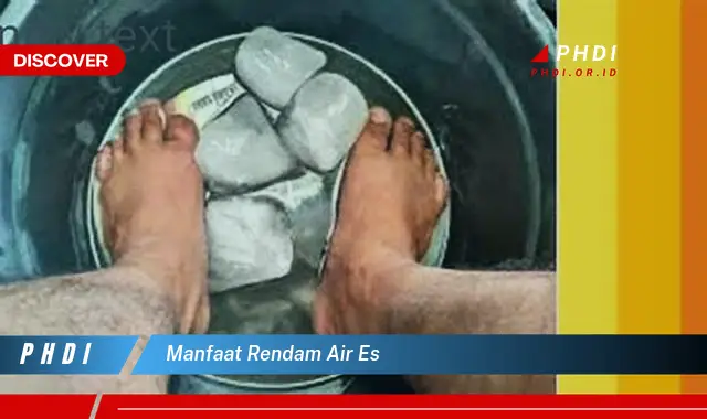 manfaat rendam air es