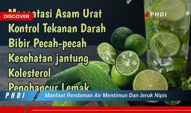 manfaat rendaman air mentimun dan jeruk nipis