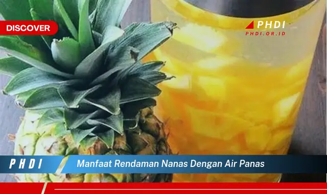 manfaat rendaman nanas dengan air panas