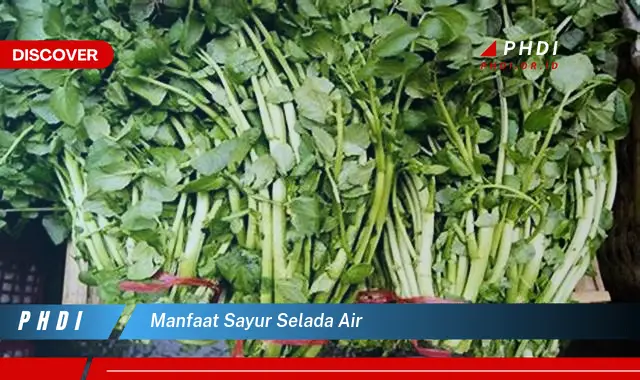 manfaat sayur selada air