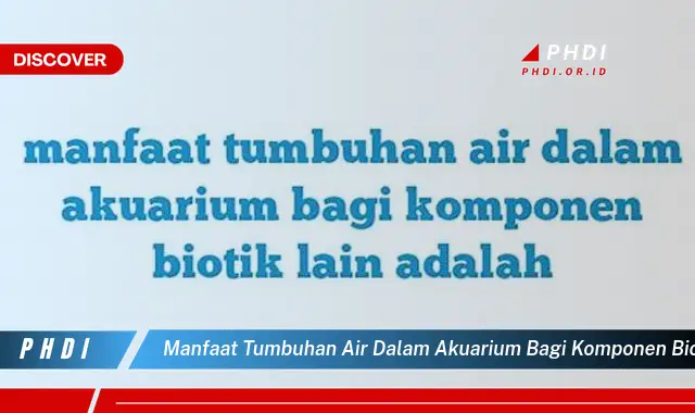 manfaat tumbuhan air dalam akuarium bagi komponen biotik lain adalah