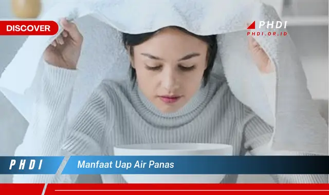 manfaat uap air panas