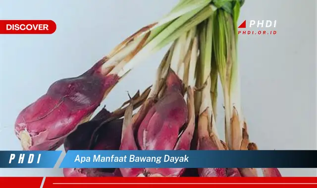 apa manfaat bawang dayak