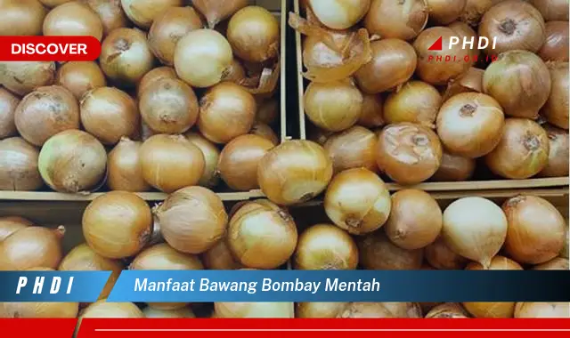 manfaat bawang bombay mentah